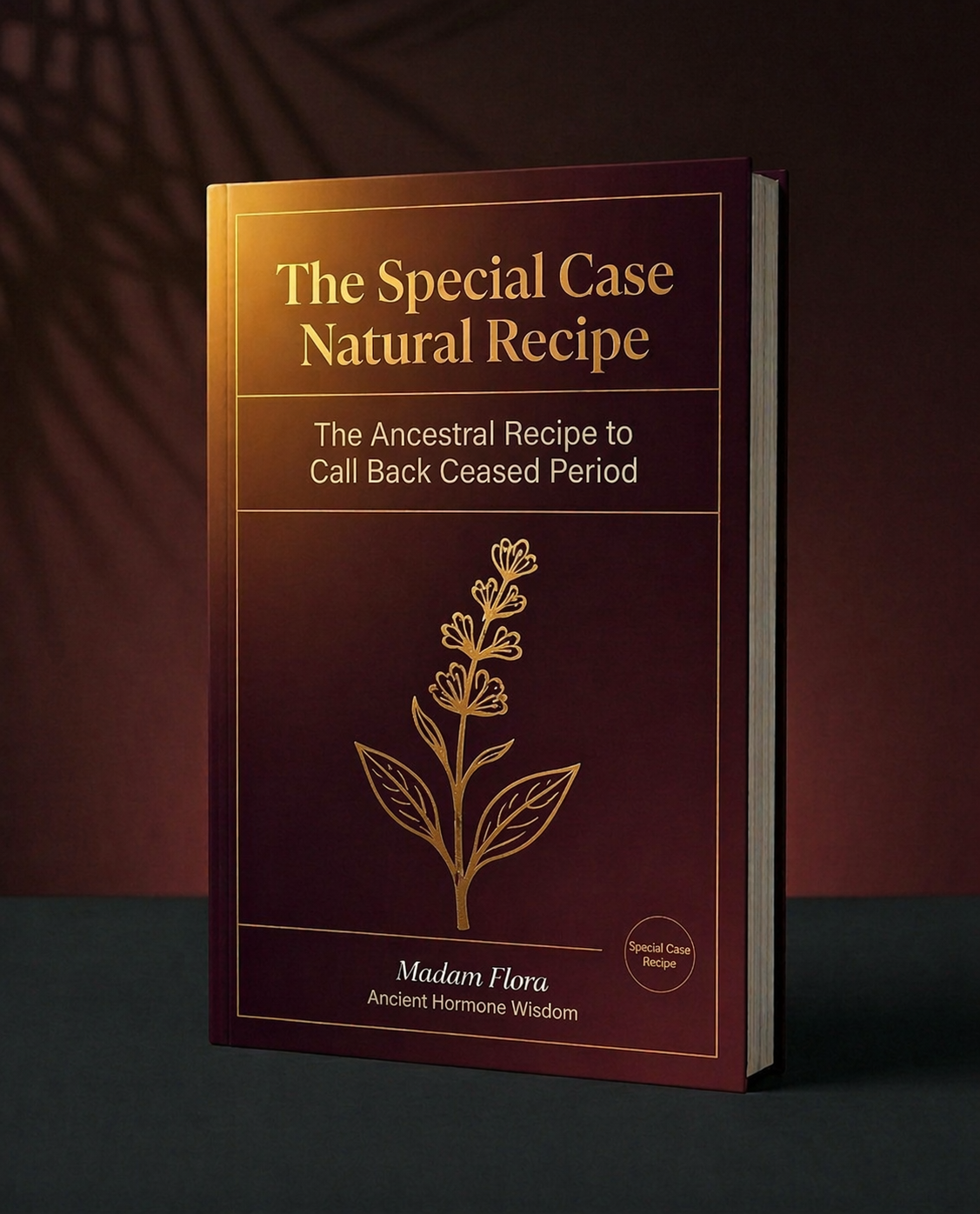 The Special Case Natural Recipe For Ceased Period